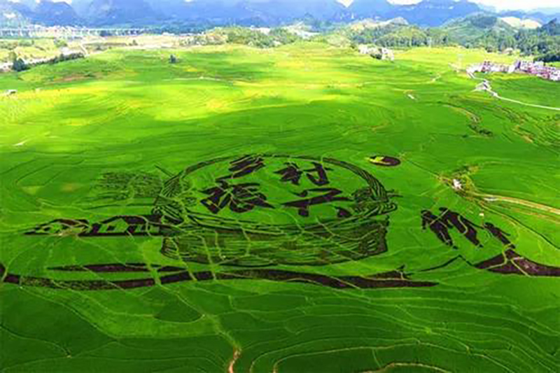 江蘇：關(guān)于加強農(nóng)業(yè)農(nóng)村污染治理促進(jìn)鄉(xiāng)村生態(tài)振興行動計劃