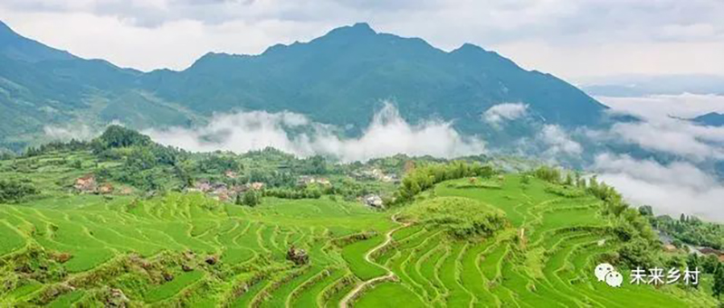 “未來鄉(xiāng)村”長啥樣？看看浙江的做法！
