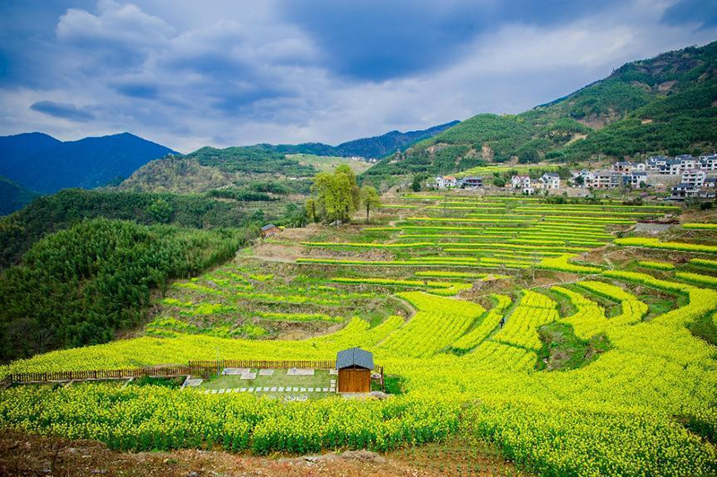 浙江臨安區(qū)農(nóng)村生活污水治理工作喜獲省級優(yōu)秀