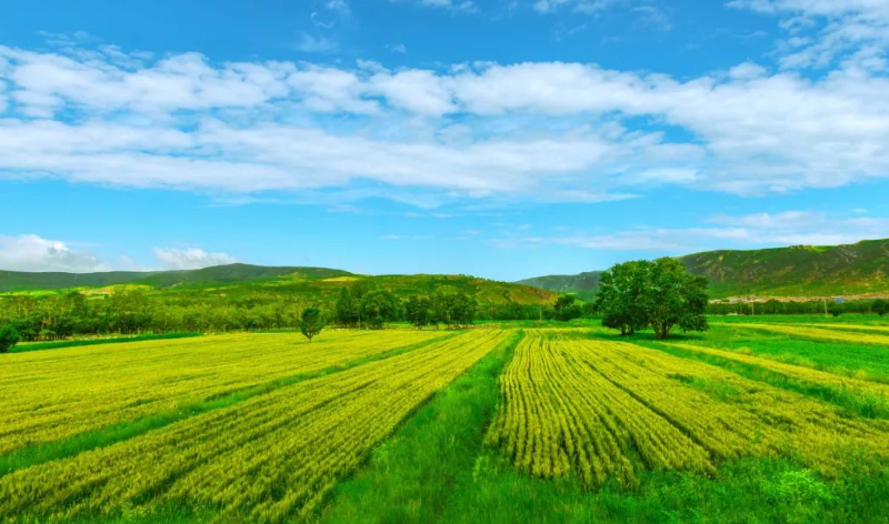 鄉(xiāng)村振興：生態(tài)循環(huán)農(nóng)業(yè)的三種模式及運(yùn)營(yíng)案例