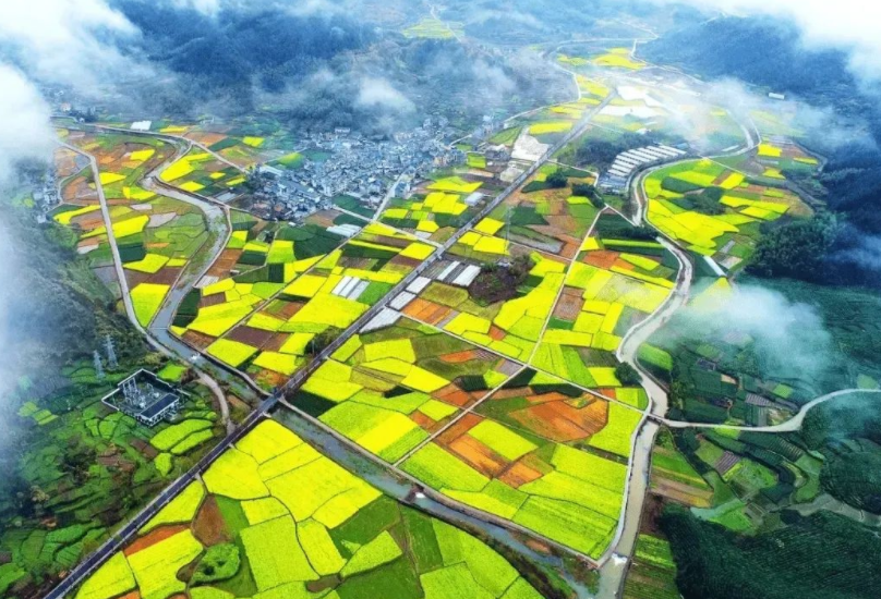 支持社會(huì)資本投資農(nóng)村人居環(huán)境整治，《社會(huì)資本投資農(nóng)業(yè)農(nóng)村指引（2022年）》發(fā)布