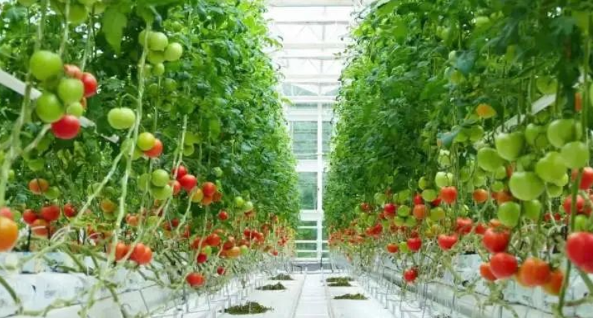 浙報深讀｜這件事，湖州為何連續(xù)3年成全國唯一“全域先進”？