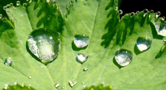 2022年“世界水日”“中國水周”來了！一文看懂，我們這樣做…
