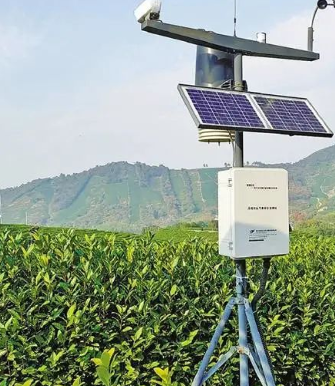 鞏固提升林業(yè)碳匯 助力實現(xiàn)“雙碳”目標，訪林業(yè)碳匯專家周國模