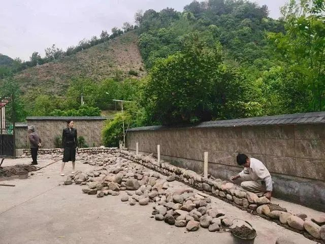 共富“重頭戲”！臨安朱灣村與九耕“牽手”打造“五星生態(tài)農(nóng)場”