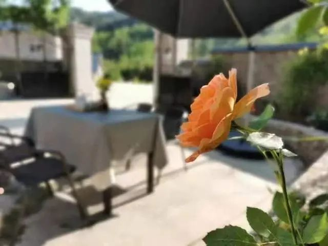 《浙江日?qǐng)?bào)》頭版報(bào)道臨安招引鄉(xiāng)村運(yùn)營(yíng)師新聞發(fā)布會(huì)