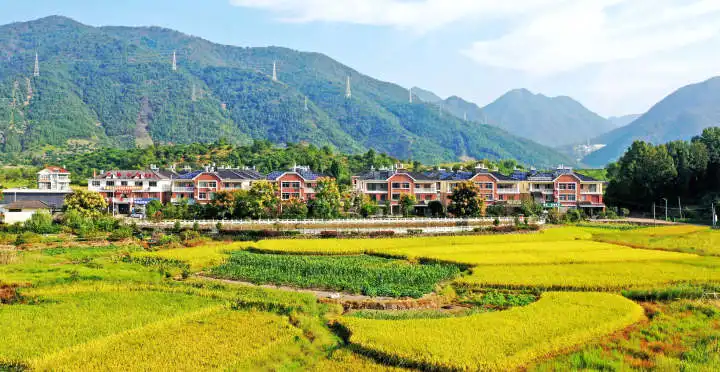 浙江未來(lái)鄉(xiāng)村及其產(chǎn)業(yè)發(fā)展思路