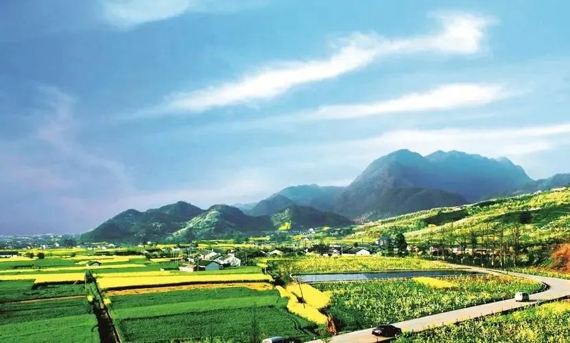 浙江省農(nóng)污系列導(dǎo)則 | 農(nóng)村生活污水綠色處理設(shè)施評價導(dǎo)則