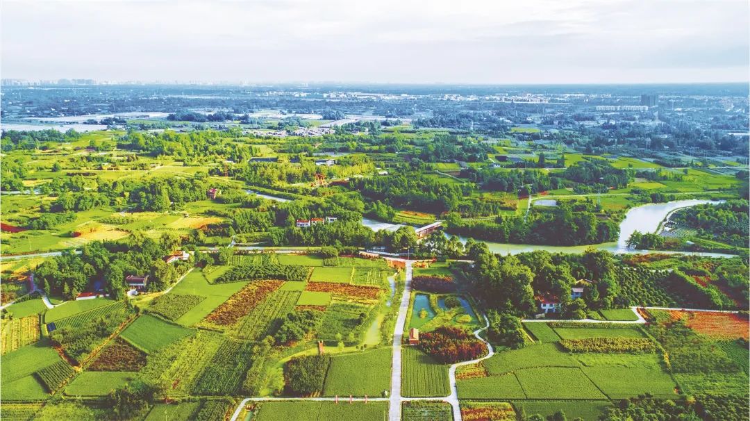 《減污降碳協(xié)同增效實(shí)施方案》發(fā)布，水、土壤、固廢等領(lǐng)域要如何做？