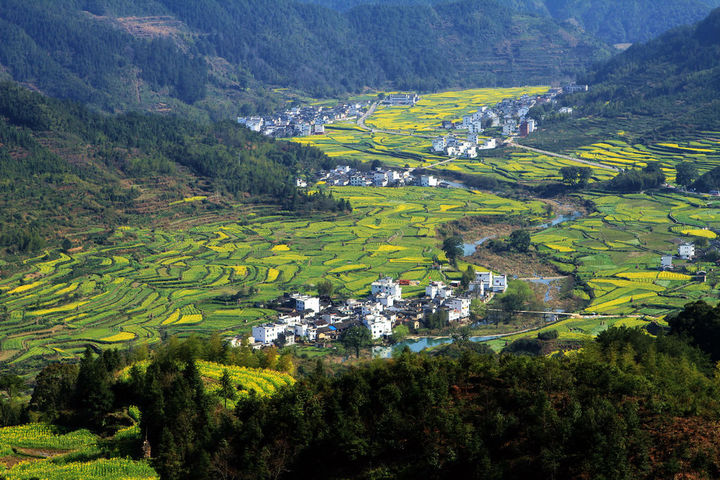 浙江?。盒略鲛r(nóng)村行政村環(huán)境整治1100個，基本消除農(nóng)村黑臭水體