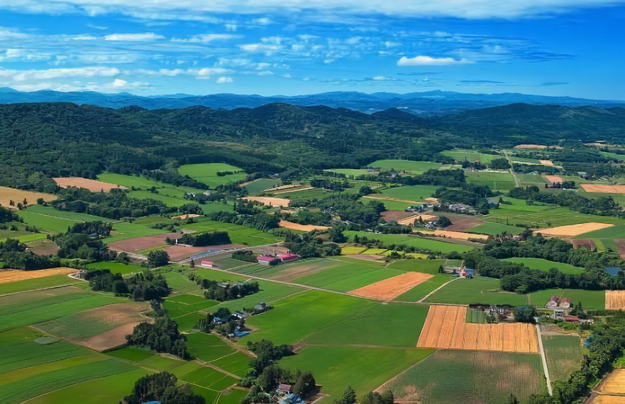 一圖讀懂 | 《長三角生態(tài)綠色一體化發(fā)展示范區(qū)碳達(dá)峰實(shí)施方案》