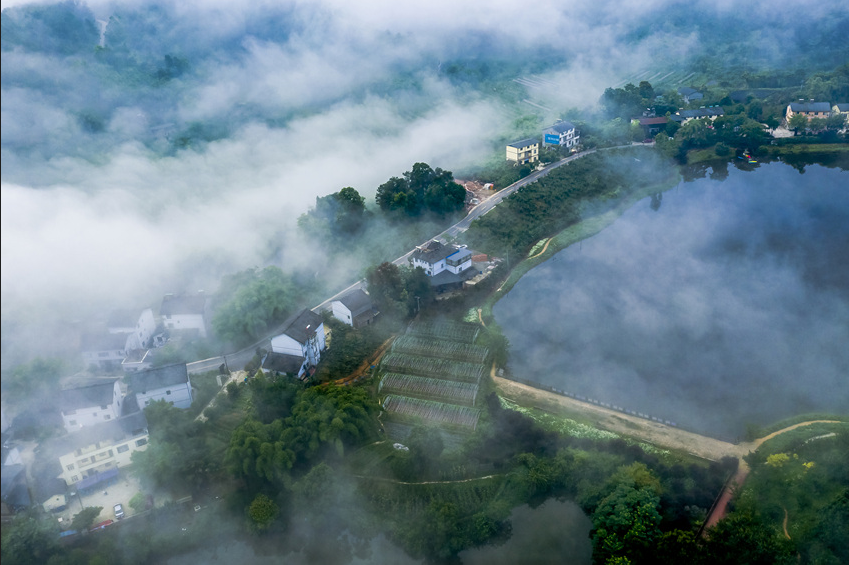 什么是碳達(dá)峰與碳中和？全球有哪些國(guó)家做出了碳中和承諾？