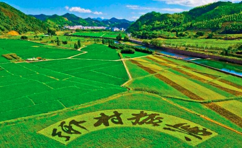 鄉(xiāng)村振興規(guī)劃實(shí)施進(jìn)展如何？這場發(fā)布會(huì)劃重點(diǎn)：系統(tǒng)治理優(yōu)生態(tài)