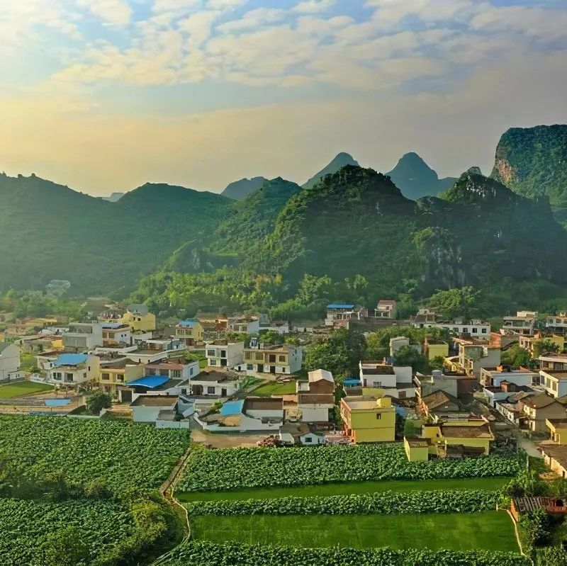 EOD模式的政策支撐、運(yùn)用邏輯和案例解讀