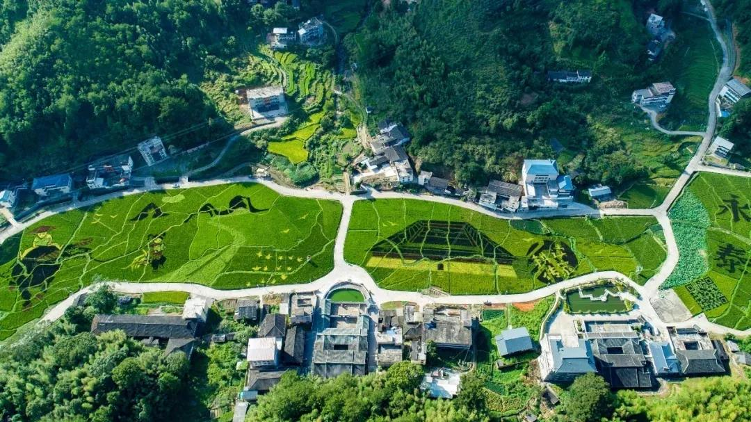 《關(guān)于擴(kuò)大當(dāng)前農(nóng)業(yè)農(nóng)村基礎(chǔ)設(shè)施建設(shè)投資的工作方案》全文發(fā)布！