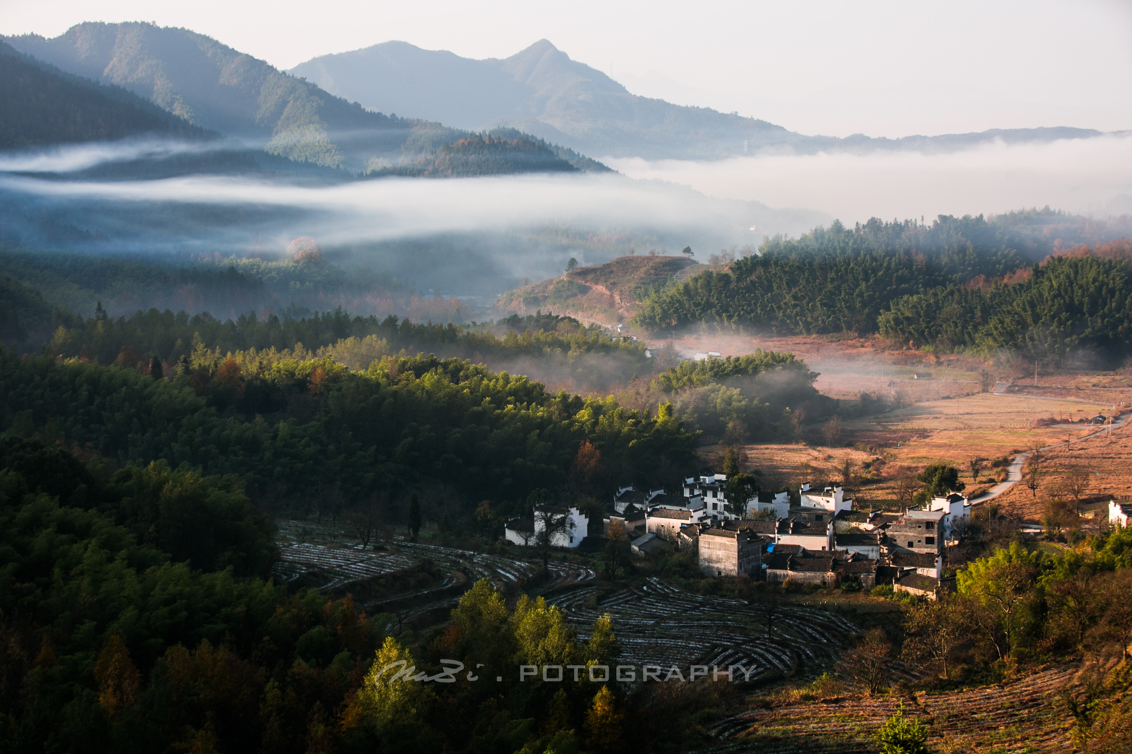 關(guān)于印發(fā)《“十四五”鄉(xiāng)村綠化美化行動(dòng)方案》的通知