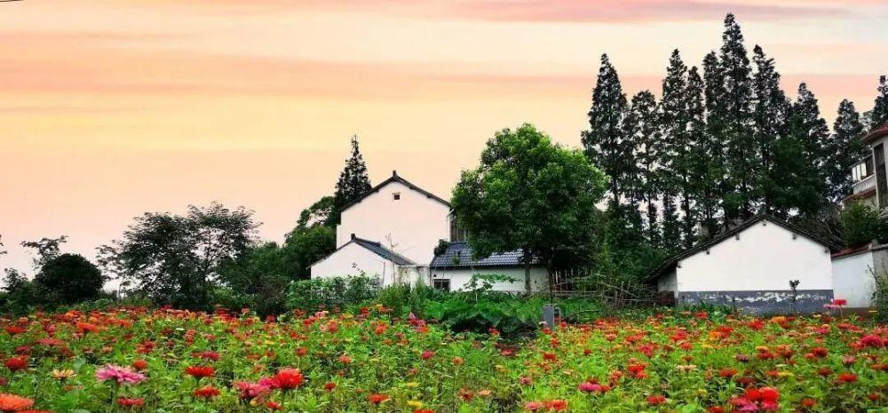 老舊改造+資源化+生態(tài)管控，上海市農(nóng)村生活污水治理提標增效行動方案發(fā)布