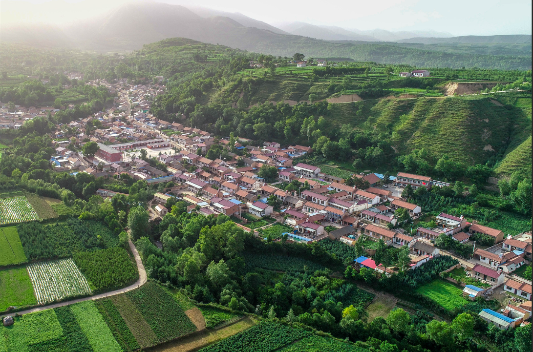 資源化利用+智慧化運營，寧夏發(fā)布《農業(yè)農村環(huán)境治理行動實施方案》