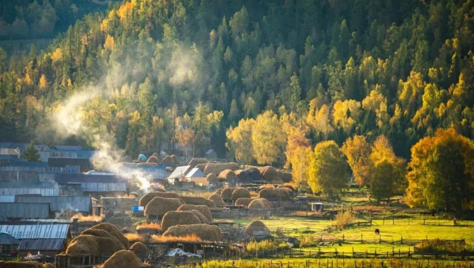 國家鄉(xiāng)村振興局開會(huì)研究謀劃明年工作，明確了這些重點(diǎn)和要求
