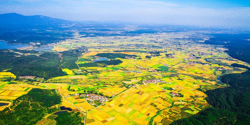 31個省區(qū)市“雙碳”目標及有關規(guī)劃