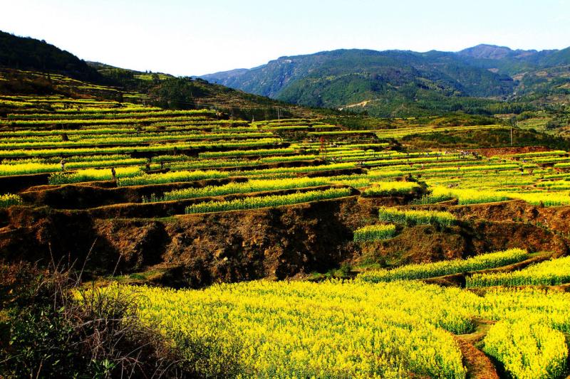 農(nóng)污設施正常運行率80%，山西省水環(huán)境質量再提升2022-2023年行動計劃發(fā)布