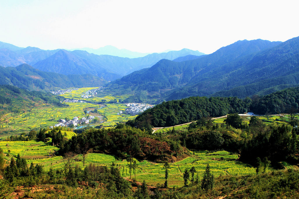 31個(gè)！第四批全國鄉(xiāng)村治理典型案例名單