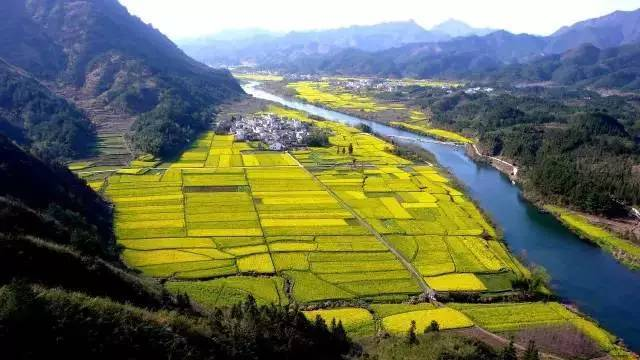 中央經(jīng)濟(jì)工作會(huì)議要求，在落實(shí)碳達(dá)峰碳中和目標(biāo)任務(wù)過程中鍛造新的產(chǎn)業(yè)競爭優(yōu)勢