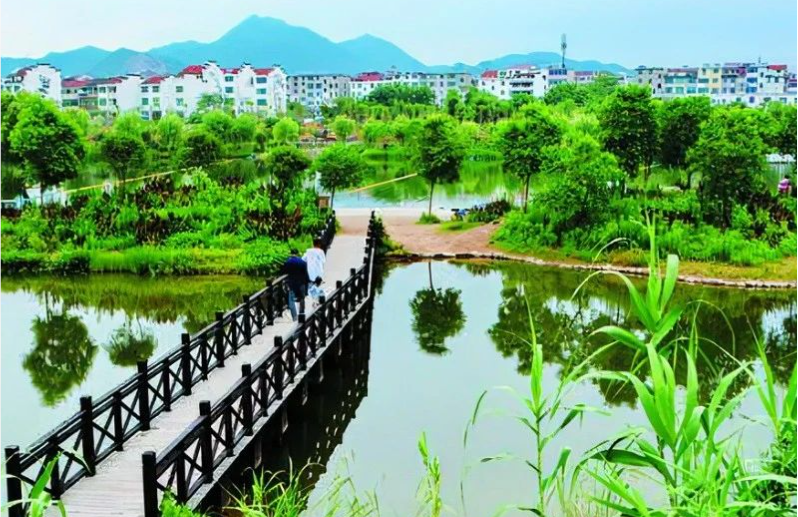 《中國(guó)環(huán)境報(bào)》頭版頭條：浙江構(gòu)建降碳、減污、擴(kuò)綠、增長(zhǎng)整體智治體系