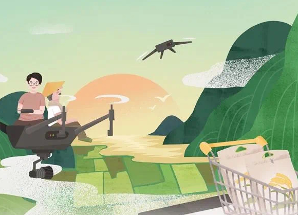 全國(guó)唯一！浙江明確“156”工作體系，全面推進(jìn)數(shù)字鄉(xiāng)村引領(lǐng)區(qū)建設(shè)