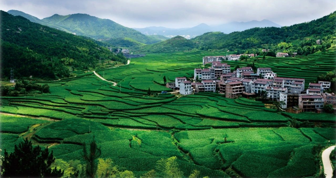 2023年中央一號(hào)文件，與生態(tài)環(huán)保息息相關(guān)的內(nèi)容有哪些？