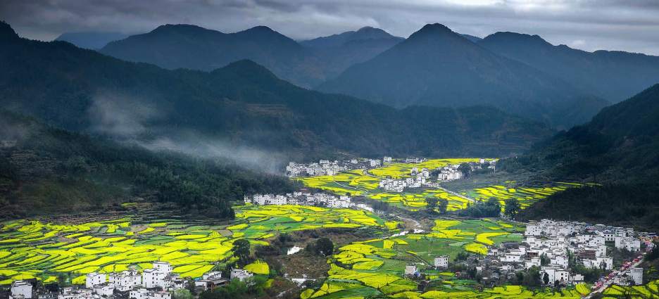 農(nóng)業(yè)農(nóng)村部一號(hào)文件發(fā)布：統(tǒng)籌推進(jìn)農(nóng)村生活污水和垃圾治理！