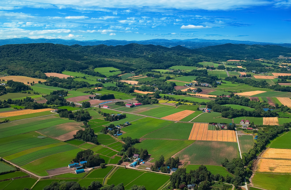 2023年鄉(xiāng)村振興項目申報及政策補貼匯總，支持鄉(xiāng)鎮(zhèn)污水處理、農(nóng)村人居環(huán)境整治、智慧農(nóng)業(yè)和數(shù)字鄉(xiāng)村等領域