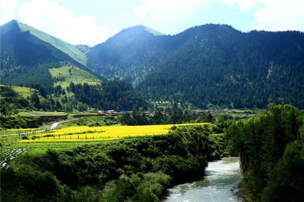 建設村莊垃圾收集點、鄉(xiāng)鎮(zhèn)垃圾轉運站，《甘肅省鄉(xiāng)村建設行動實施方案》明確這些要求！