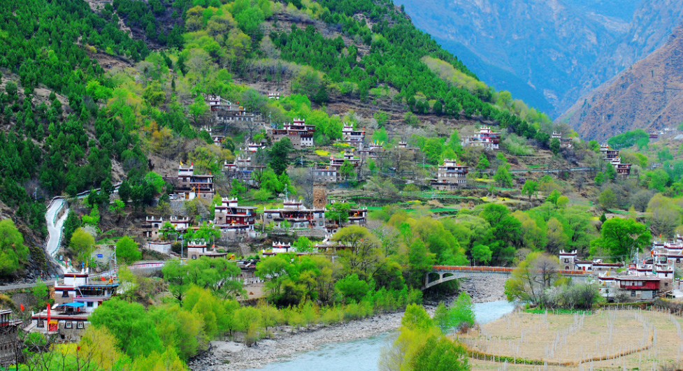 兩會話攻堅丨農(nóng)村污水處理設施，如何兼顧“中看又中用”？