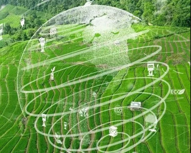 農(nóng)業(yè)碳匯加速入局碳交易，農(nóng)產(chǎn)品固碳價值“變現(xiàn)”可期