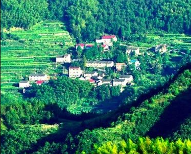 《浙江省綠色低碳轉(zhuǎn)型促進條例（草案送審稿）》公開征求意見