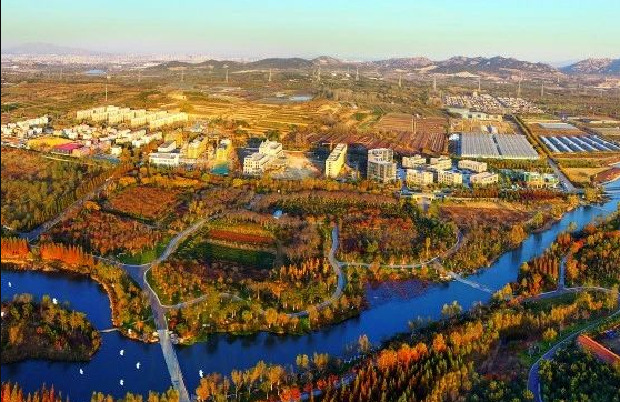 什么是農(nóng)村生活污水全域治理的“青島速度”？