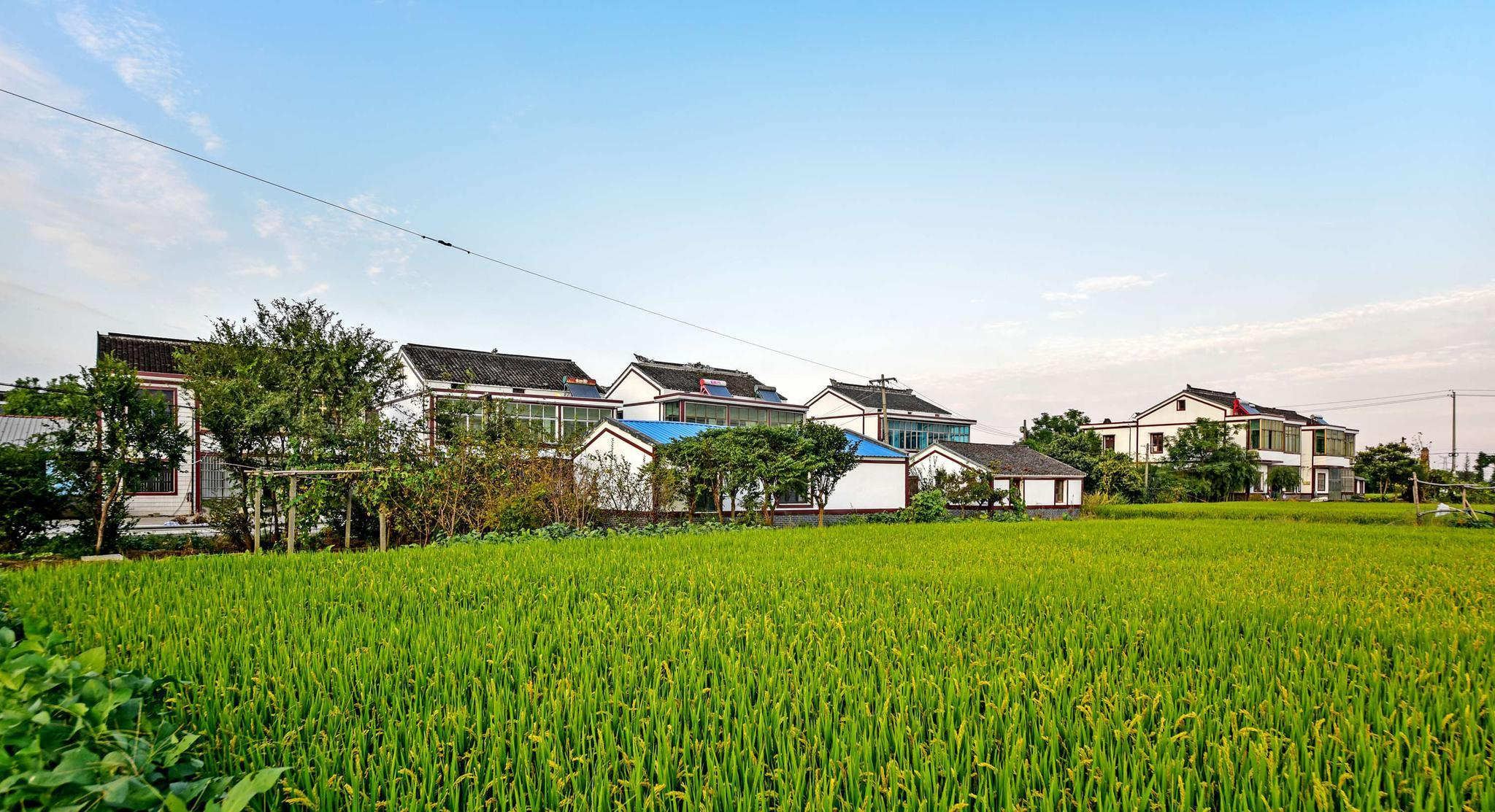 工信部：加快推動(dòng)出臺(tái)《關(guān)于促進(jìn)專精特新中小企業(yè)高質(zhì)量發(fā)展的若干措施》