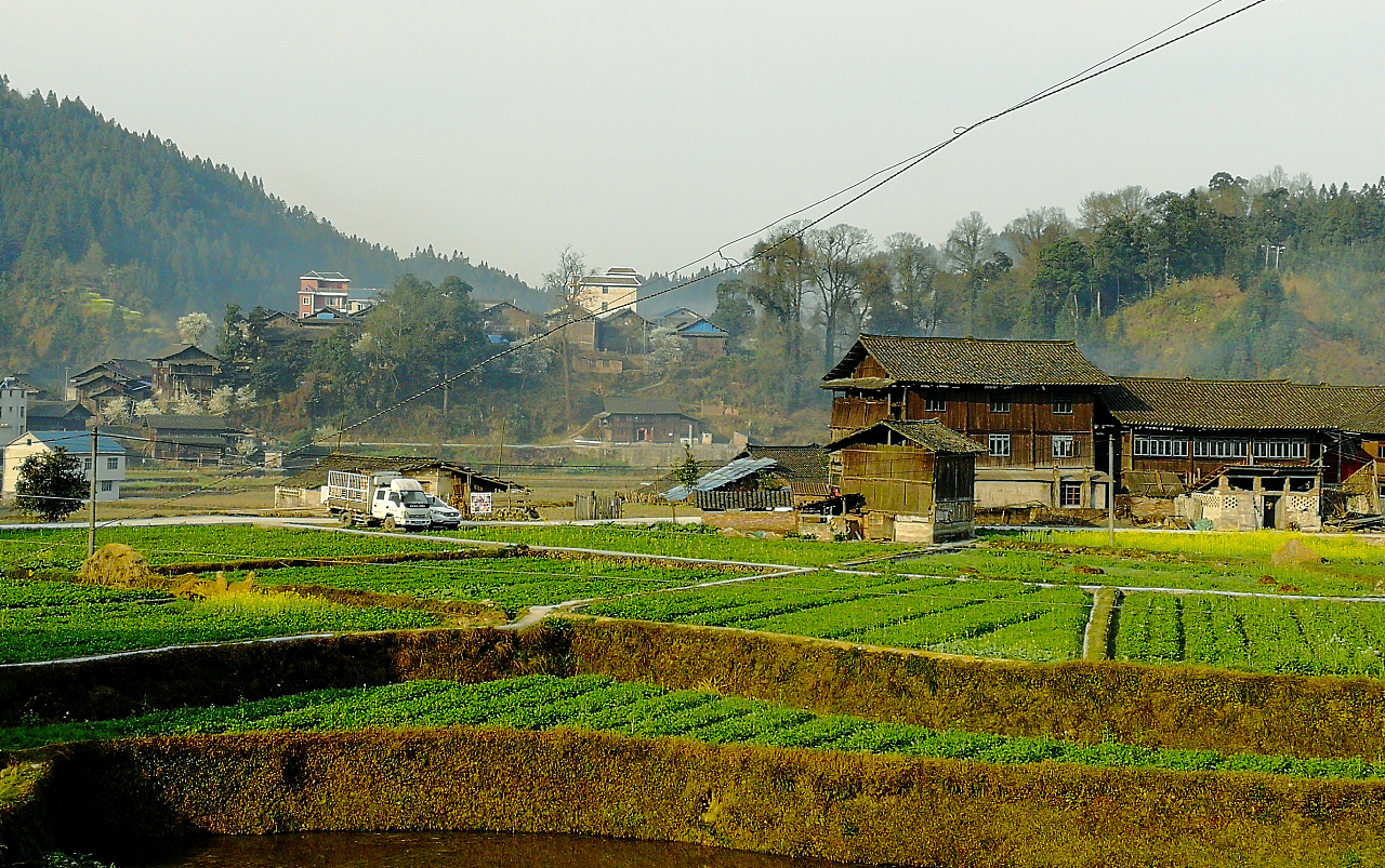 廣東：關(guān)于鼓勵(lì)和支持社會(huì)資本參與生態(tài)保護(hù)修復(fù)的實(shí)施意見
