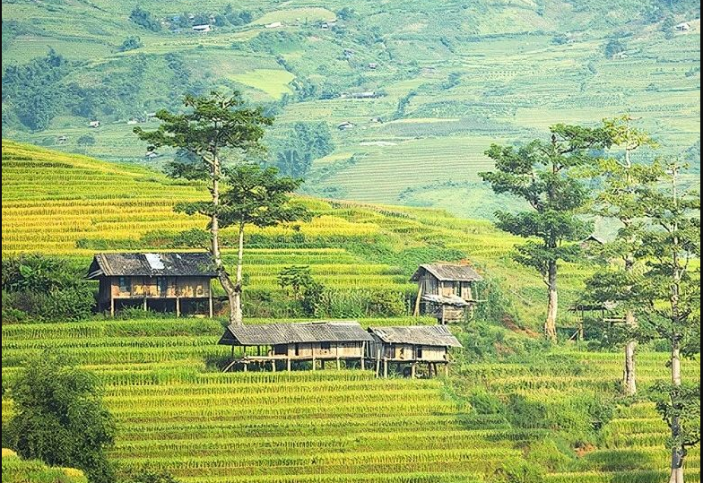 農(nóng)村生活污水凈化裝置團(tuán)體標(biāo)準(zhǔn)通過批準(zhǔn)，12月1日起正式實(shí)施