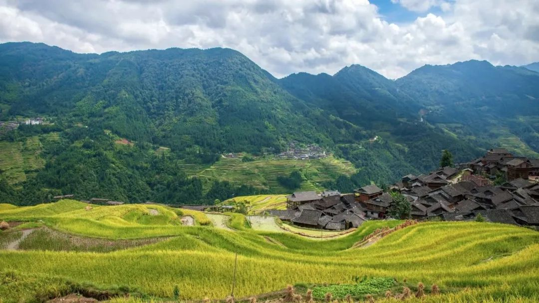 安徽：農(nóng)村黑臭水體整治，強化推進會落實