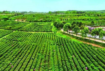 生態(tài)環(huán)境部：審議并原則通過《關于進一步推進農村生活污水治理的指導意見》等標準