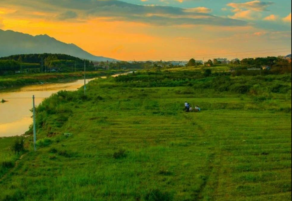 湖南省2024年擬推薦的地方生態(tài)環(huán)境標準項目公示