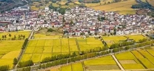 未來(lái)5年，鄉(xiāng)村產(chǎn)業(yè)8大投資重點(diǎn)在哪里？