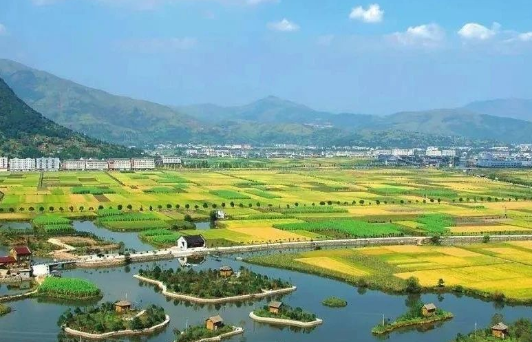 鄉(xiāng)村振興工作滯后，約談！江西省委、省政府發(fā)布《江西省鄉(xiāng)村振興責任制實施細則》