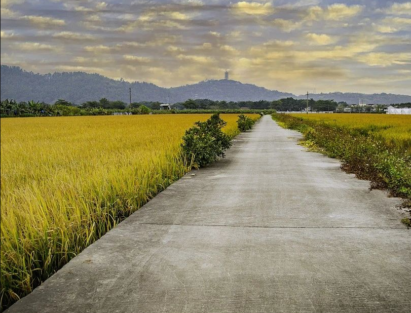 12月16日執(zhí)行！廣東省農(nóng)業(yè)農(nóng)村廳 廣東省財(cái)政廳關(guān)于印發(fā)《廣東省現(xiàn)代農(nóng)業(yè)產(chǎn)業(yè)園財(cái)政資金管理辦法（修訂）》的通知