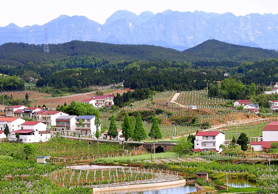 國家政策解讀：建立產品碳足跡管理體系