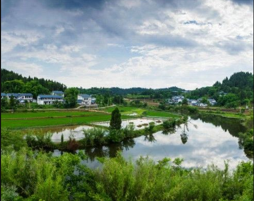 工廠化養(yǎng)殖成大趨勢！農業(yè)農村部發(fā)布《現代設施漁業(yè)建設專項實施方案（2023-2030年）》