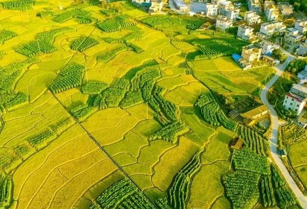 農村污水處理：不同省份如何因地制宜？