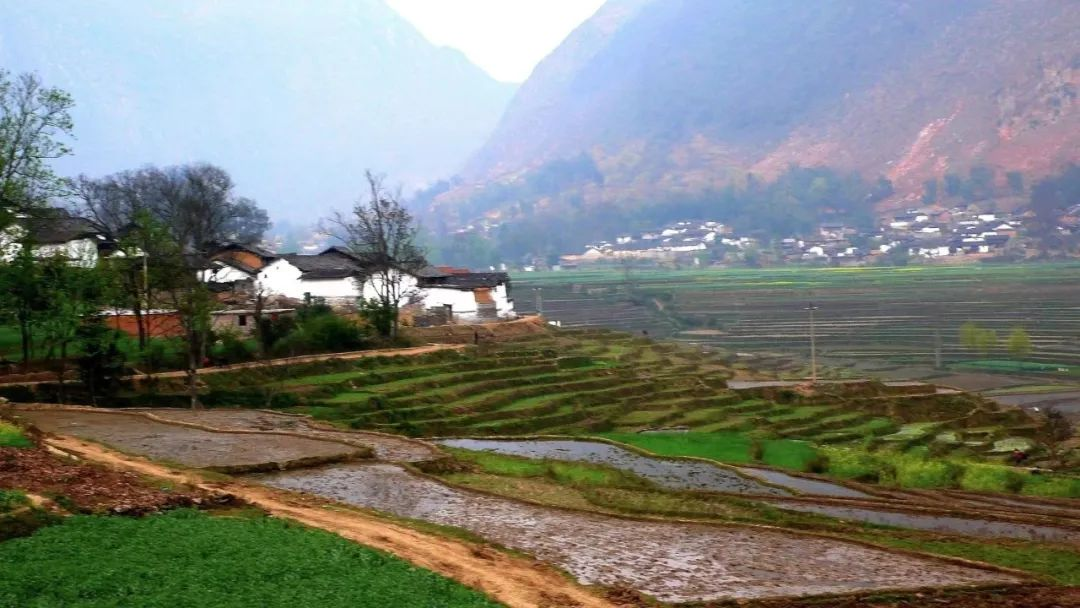 濟(jì)寧：農(nóng)村污水治理全域統(tǒng)籌，提升治理水平